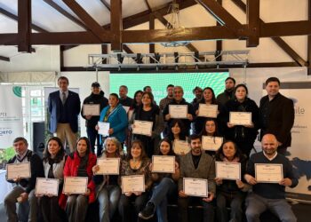 Comité de Desarrollo Productivo Regional asigna el 98% de sus recursos para impulsar sectores estratégicos de Magallanes