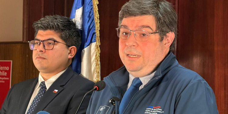 Refuerzan fiscalización de carnes y bebidas alcohólicas en Magallanes ante las Fiestas Patrias