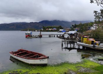 Gobierno en Terreno llevará servicios públicos y atención directa a Puerto Edén