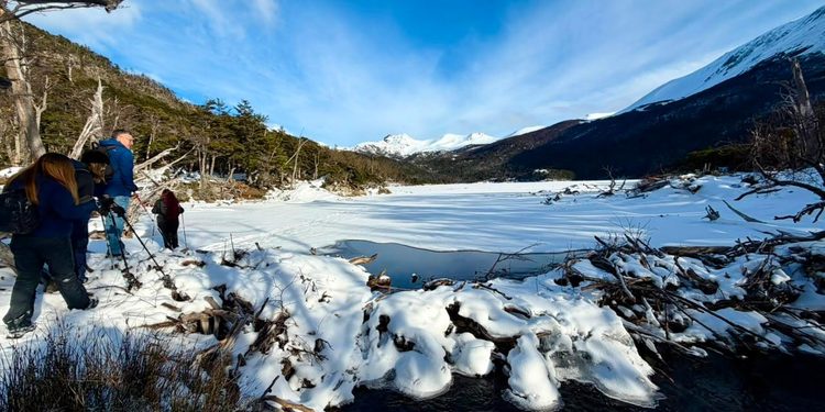 DOH estudia comportamiento de los ríos Ukika y Róbalo para fortalecer seguridad hídrica en Puerto Williams
