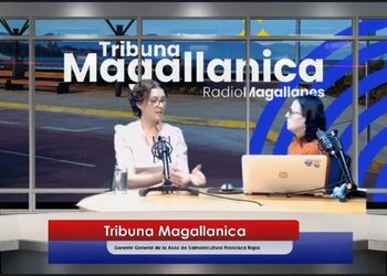 Salmonicultura en Magallanes enfrenta nudos críticos: 8 años de espera en Ley Lafkenche e incertidumbre en Reserva Nacional Kawésqar.