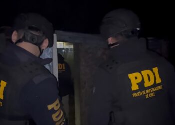 Autoridades refuerzan coordinación para combatir el abigeato en Magallanes