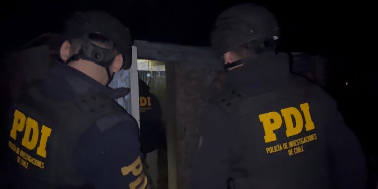 Autoridades refuerzan coordinación para combatir el abigeato en Magallanes