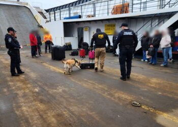 PDI refuerza fiscalización migratoria durante el Gran Premio de la Hermandad