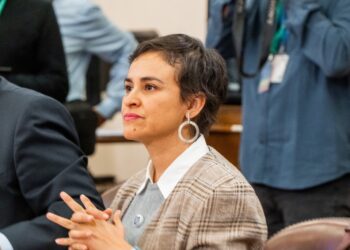 Diputada Javiera Morales cuestiona decisión del MOP sobre obras en Aeródromo de Puerto Natales