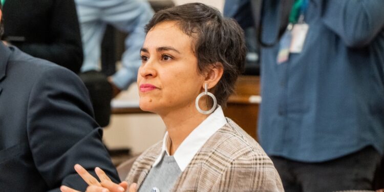 Diputada Javiera Morales cuestiona decisión del MOP sobre obras en Aeródromo de Puerto Natales