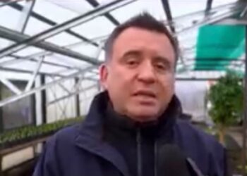 Vivero municipal producirá 20 mil flores para embellecer distintos espacios públicos de Punta Arenas