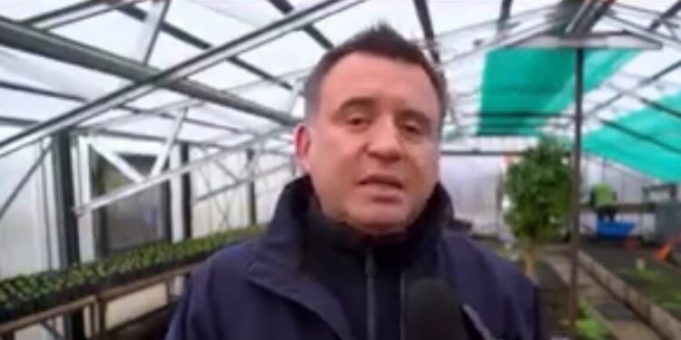 Vivero municipal producirá 20 mil flores para embellecer distintos espacios públicos de Punta Arenas