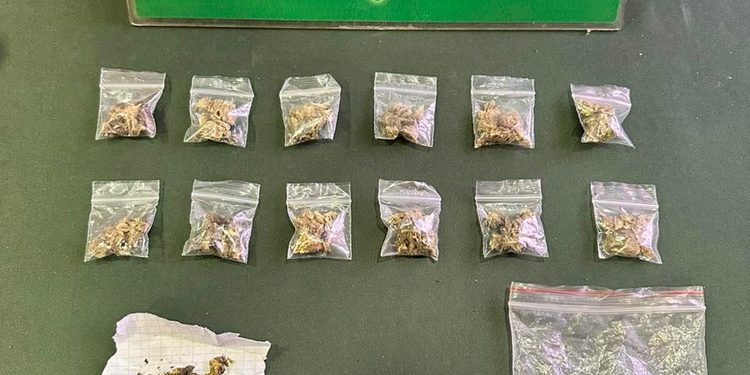 Joven es detenido por presunto microtráfico de drogas en pleno centro de Punta Arenas