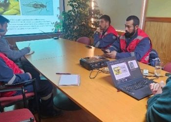 SAG capacita a funcionarios municipales de Porvenir sobre prevención y manejo del pulgón del ciprés.