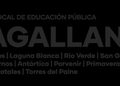 SLEP Magallanes convoca a más de 20 mil personas a elecciones del Consejo Local de Educación Pública