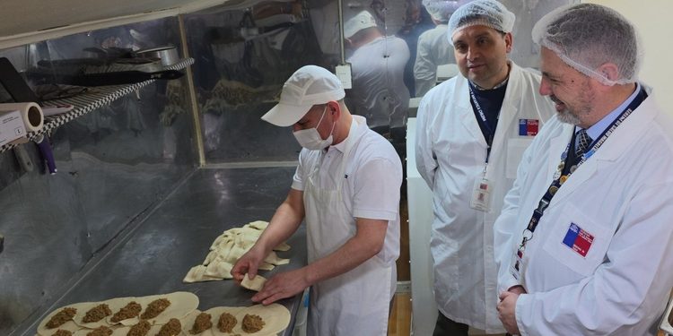 Seremi de Salud refuerza fiscalización de empanadas previo a Fiestas Patrias en Magallanes