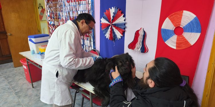 Vacunación antirrábica llega a población Juan Pablo II en vísperas del Día Mundial contra la Rabia