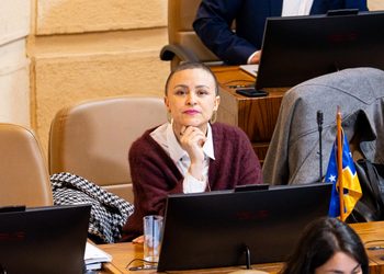 Javiera Morales plantea inquietudes sobre soberanía, fronteras y terrenos fiscales en sesión de Defensa en Punta Arenas