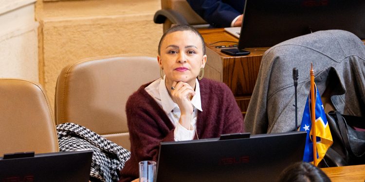 Javiera Morales plantea inquietudes sobre soberanía, fronteras y terrenos fiscales en sesión de Defensa en Punta Arenas