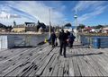 Unidad naval realizó evacuación de pasajero con síntomas de apendicitis desde ferry Cruz Australis