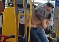 TransAlerce anuncia investigación tras incidente entre conductor y pasajero en Punta Arenas