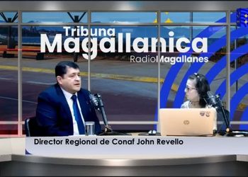 Desafíos y Preparativos de CONAF Magallanes ante la Nueva Temporada y el Traspaso al SBAP.