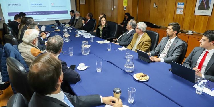 Gobierno y sector exportador abordan desafíos del comercio internacional para productos silvoagropecuarios