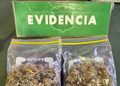Detienen a conductor con más de 34 gramos de marihuana en pleno centro de Punta Arenas