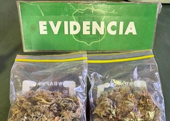 Detienen a conductor con más de 34 gramos de marihuana en pleno centro de Punta Arenas