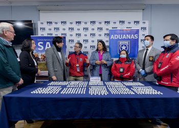 Incautan casi 6 kilos de cocaína ocultos en el cuerpo de una pasajera en aeropuerto de Punta Arenas