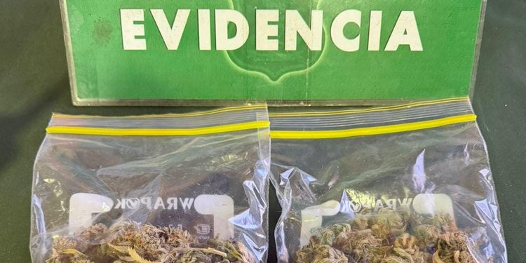 Detienen a conductor con más de 34 gramos de marihuana en pleno centro de Punta Arenas