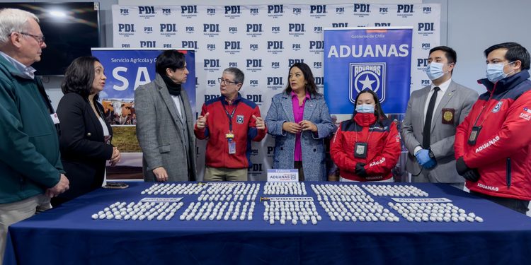 Incautan casi 6 kilos de cocaína ocultos en el cuerpo de una pasajera en aeropuerto de Punta Arenas