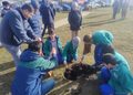 CONAF y Municipalidad de Punta Arenas inauguran proyecto que mejorará Plaza de Villa Las Nieves.