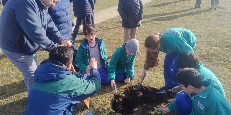 CONAF y Municipalidad de Punta Arenas inauguran proyecto que mejorará Plaza de Villa Las Nieves.
