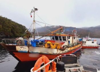 Tribunal de Puerto Natales multa a armador y buzo por extracción ilegal de luga en canal Kirke