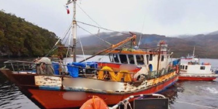 Tribunal de Puerto Natales multa a armador y buzo por extracción ilegal de luga en canal Kirke