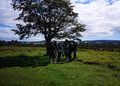 «Salud mental y naturaleza: Vocalía Ambiental de la UMAG convoca a una jornada especial de bienestar y reflexión».