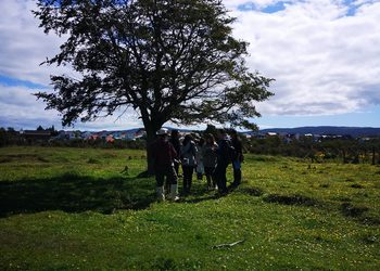«Salud mental y naturaleza: Vocalía Ambiental de la UMAG convoca a una jornada especial de bienestar y reflexión».