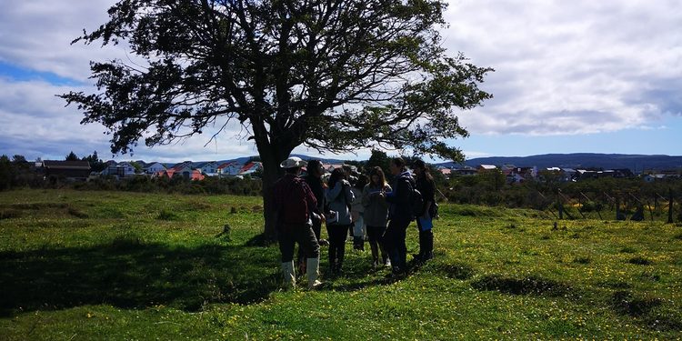 «Salud mental y naturaleza: Vocalía Ambiental de la UMAG convoca a una jornada especial de bienestar y reflexión».