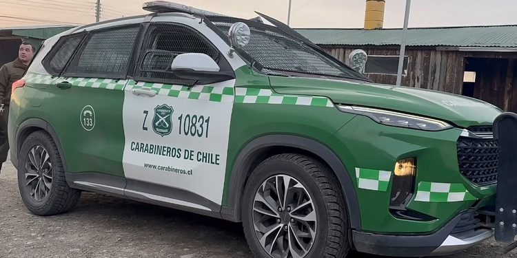 Operativo Centauro supera los 13 mil controles y deja 184 detenidos en siete meses en Magallanes