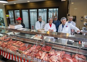 Autoridades refuerzan fiscalización de carnicerías en Magallanes ante aumento del consumo por Fiestas Patrias
