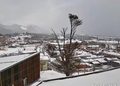 Nevada deja 13 centímetros de acumulación en Puerto Williams y activa operativo para despejar caminos