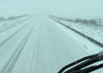 Rutas de Magallanes amanecen cubiertas de blanco tras intensa precipitación de nieve en algunos sectores