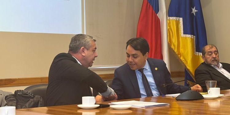 Alcalde de Cabo de Hornos entrega a Comisión de Zonas Extremas petitorio con demandas de la comunidad