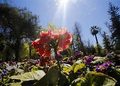 Equinoccio de primavera: especialistas Uchile aclaran qué es verdad y qué es mito.