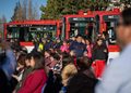 Puerto Natales inaugura su primer sistema de transporte público urbano con nueve buses