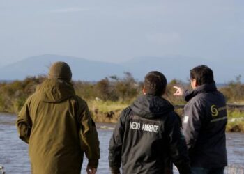 🎣 Magallanes dio inicio a la temporada de pesca recreativa 2026-2027: conozca las fechas, requisitos y restricciones