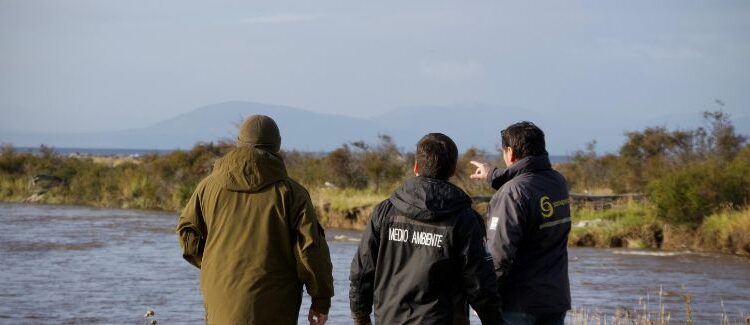 🎣 Magallanes dio inicio a la temporada de pesca recreativa 2026-2027: conozca las fechas, requisitos y restricciones