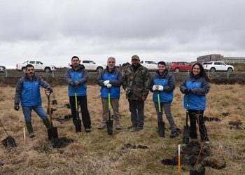 Plantan 40 lengas en jornada comunitaria por el Día Nacional del Medio Ambiente en Punta Arenas