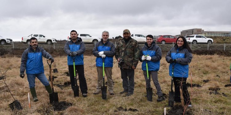 Plantan 40 lengas en jornada comunitaria por el Día Nacional del Medio Ambiente en Punta Arenas