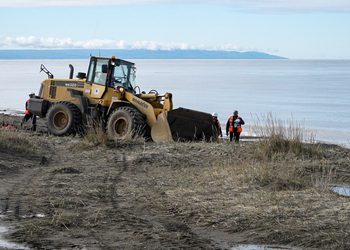 Municipio mantiene despliegue en Punta Arenas para recuperar caminos y limpiar borde costero tras sistema frontal