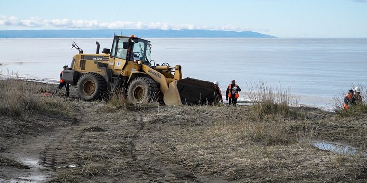 Municipio mantiene despliegue en Punta Arenas para recuperar caminos y limpiar borde costero tras sistema frontal