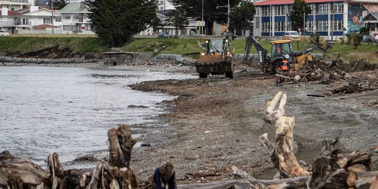 Punta Arenas retira 200 toneladas de troncos y basura del borde costero tras el temporal