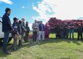 Entregan papa semilla certificada a más de 200 agricultores de Punta Arenas
